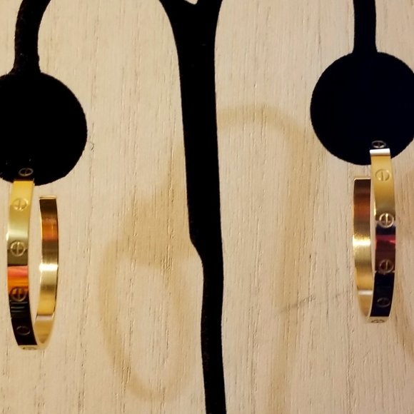 Beautiful Stainless Steel Gold Filled Screw Hoops - Picture 1 of 5